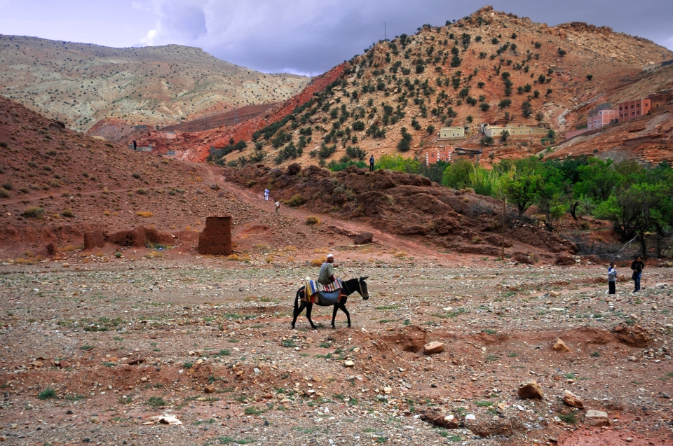 Man on mule, Morocco - Lonely Planet, Image by Kristian Bertel
