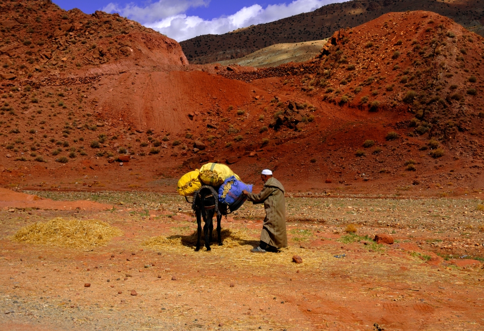 Man in the valley, Morocco - Image by Kristian Bertel
