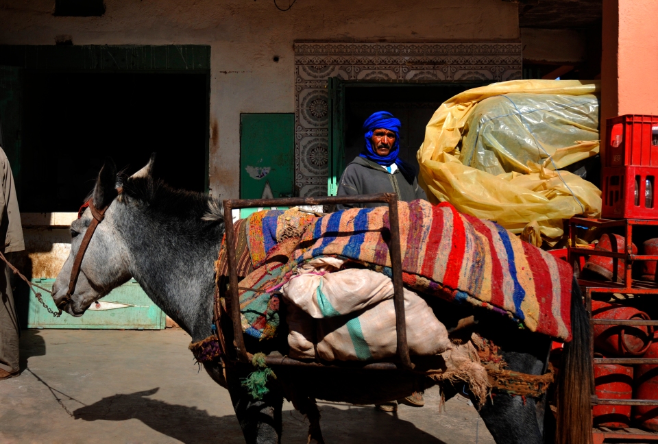 Man in Telouet, Morocco - Image by Kristian Bertel